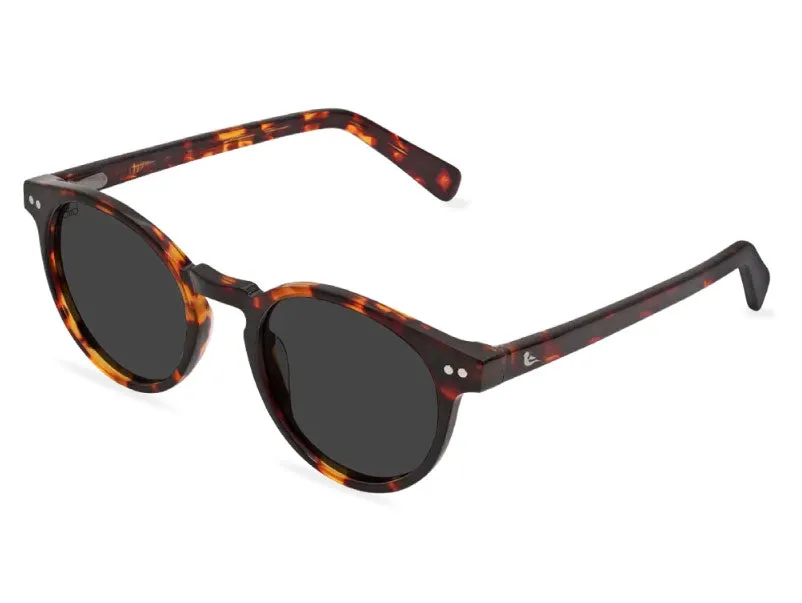 Tawny Tortoiseshell