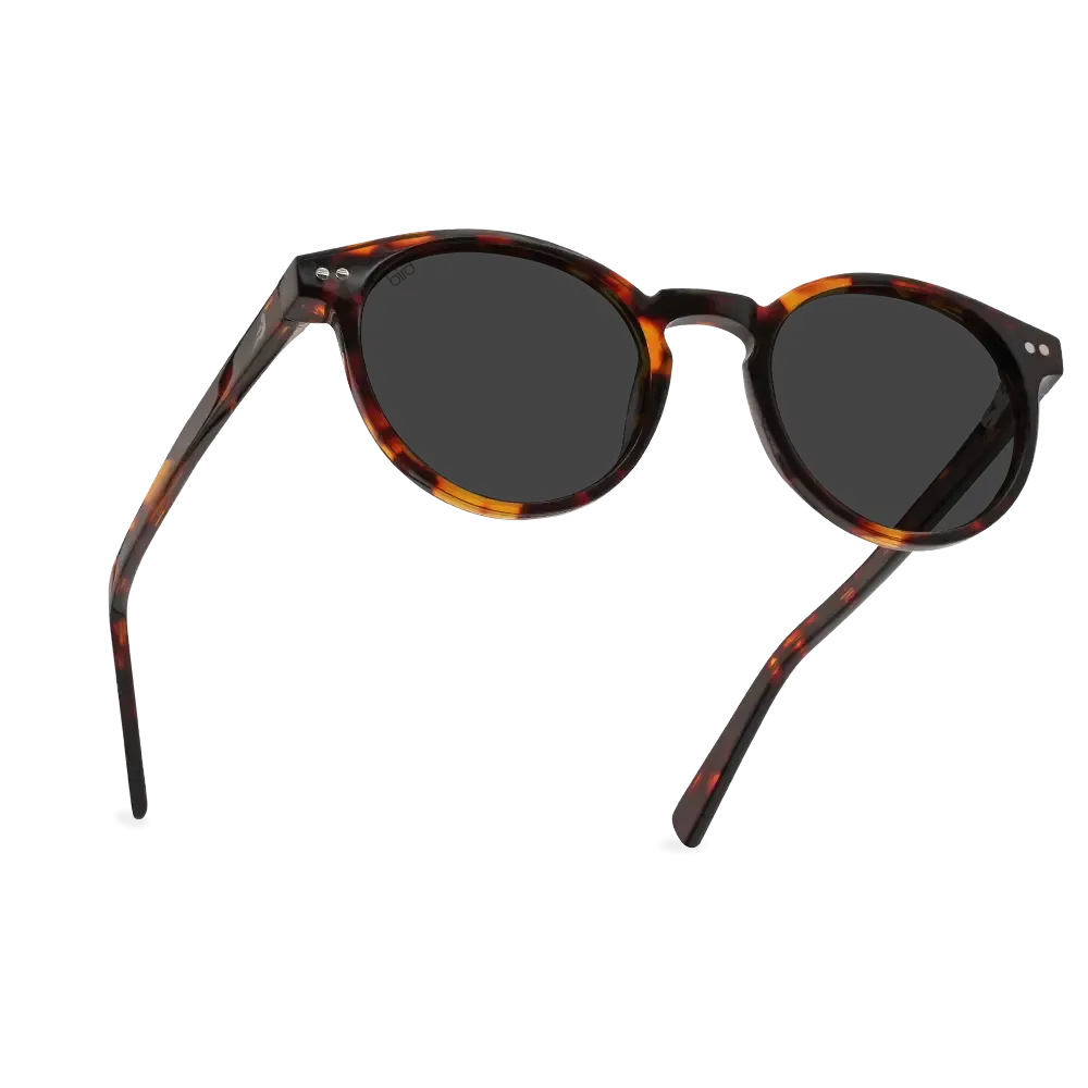 Tawny Tortoiseshell