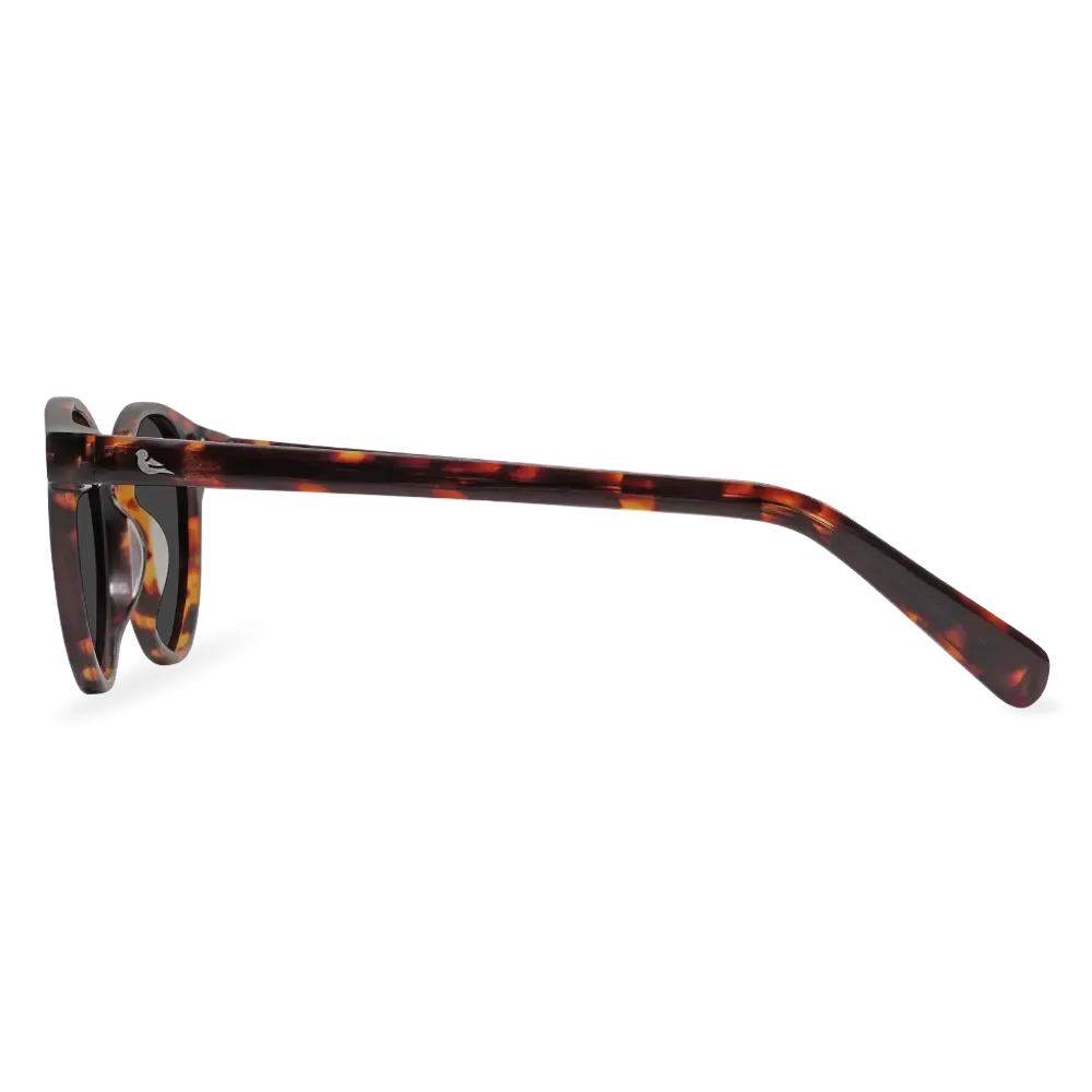 Tawny Tortoiseshell