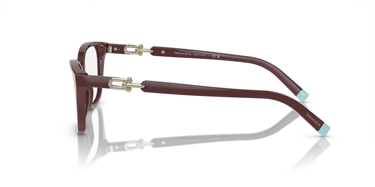 TIFFANY & CO TF 2229 8389 53