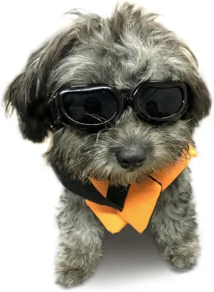 UV Protection Dog Sunglasses