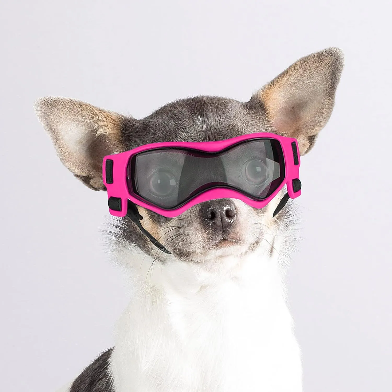 UV Protection Dog Sunglasses