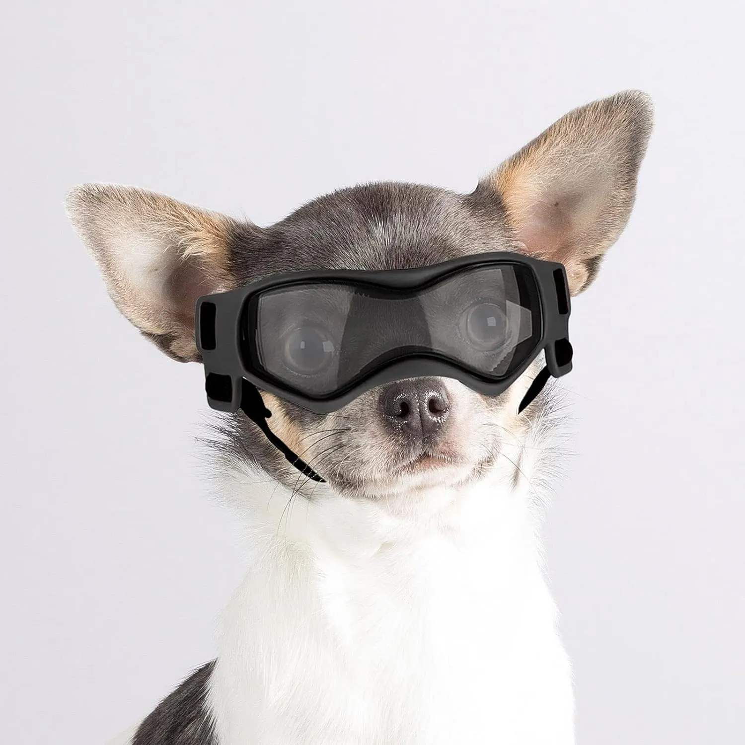 UV Protection Dog Sunglasses