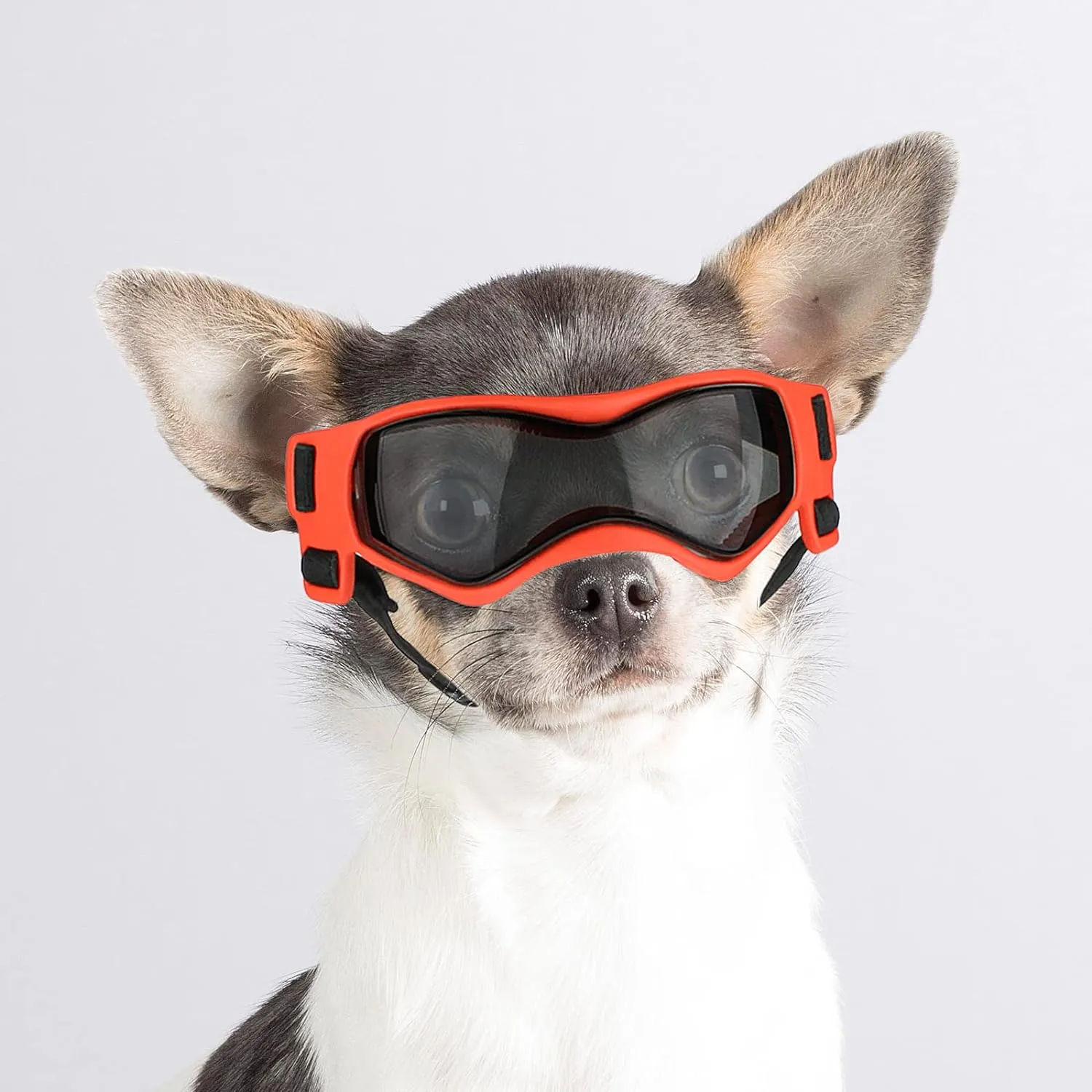 UV Protection Dog Sunglasses