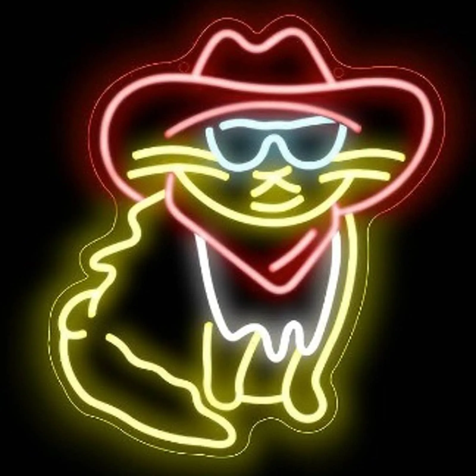 Vivid Fun Bright Cowboy Cat w/ Sun Glasses & Bandana LED Night Light Decor