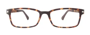 VM-101 New Tort (Wholesale)