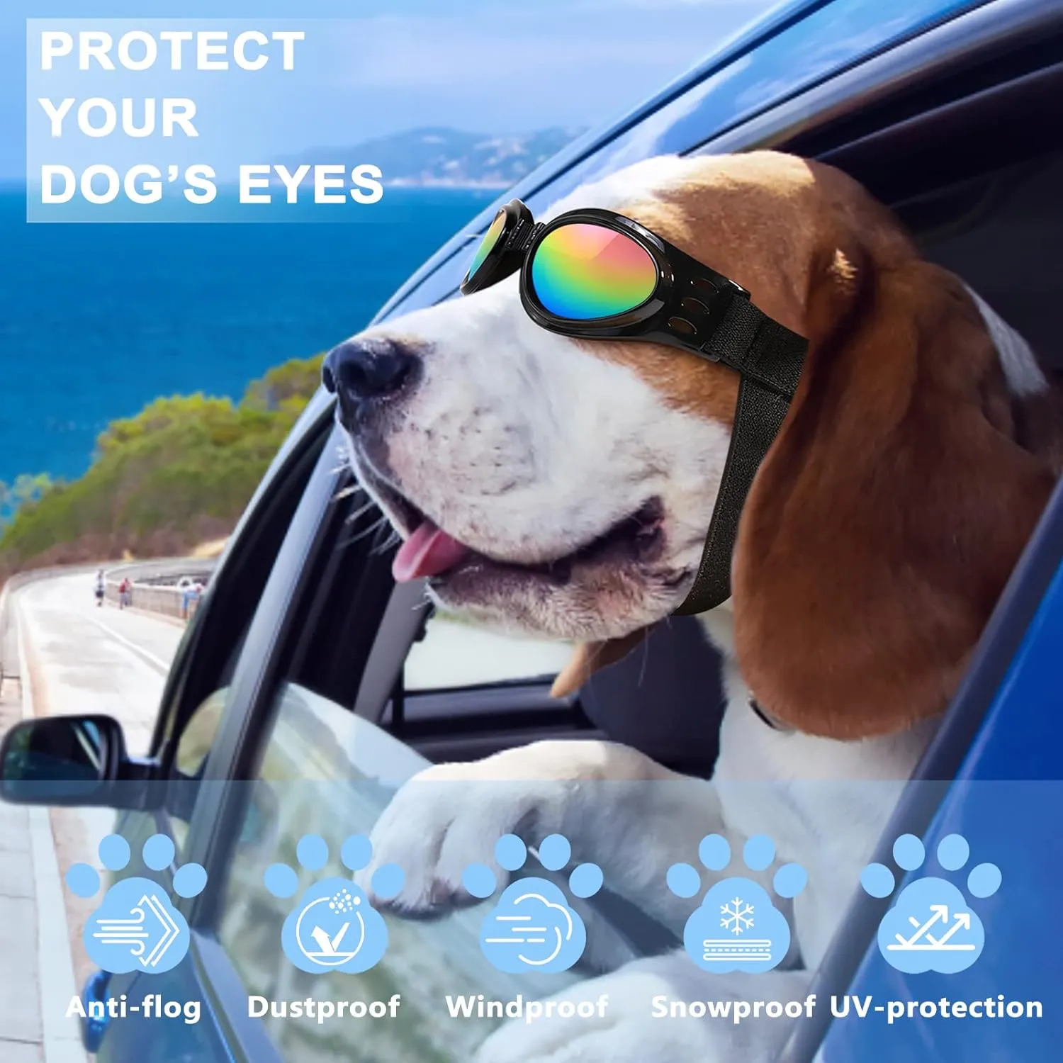 Wind Dust Fog Protection Eye Wear
