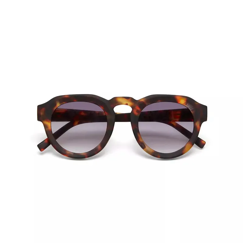 ZENO SUNGLASSES - Classic Havana
