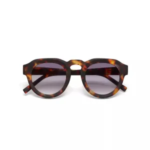 ZENO SUNGLASSES - Classic Havana