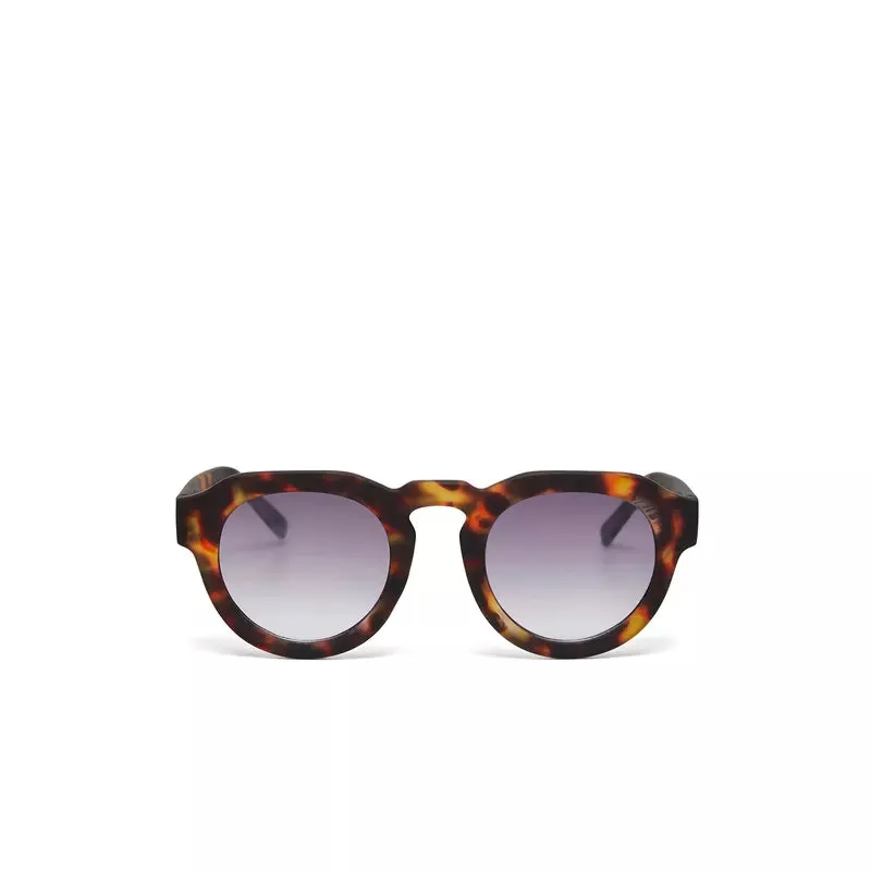 ZENO SUNGLASSES - Classic Havana