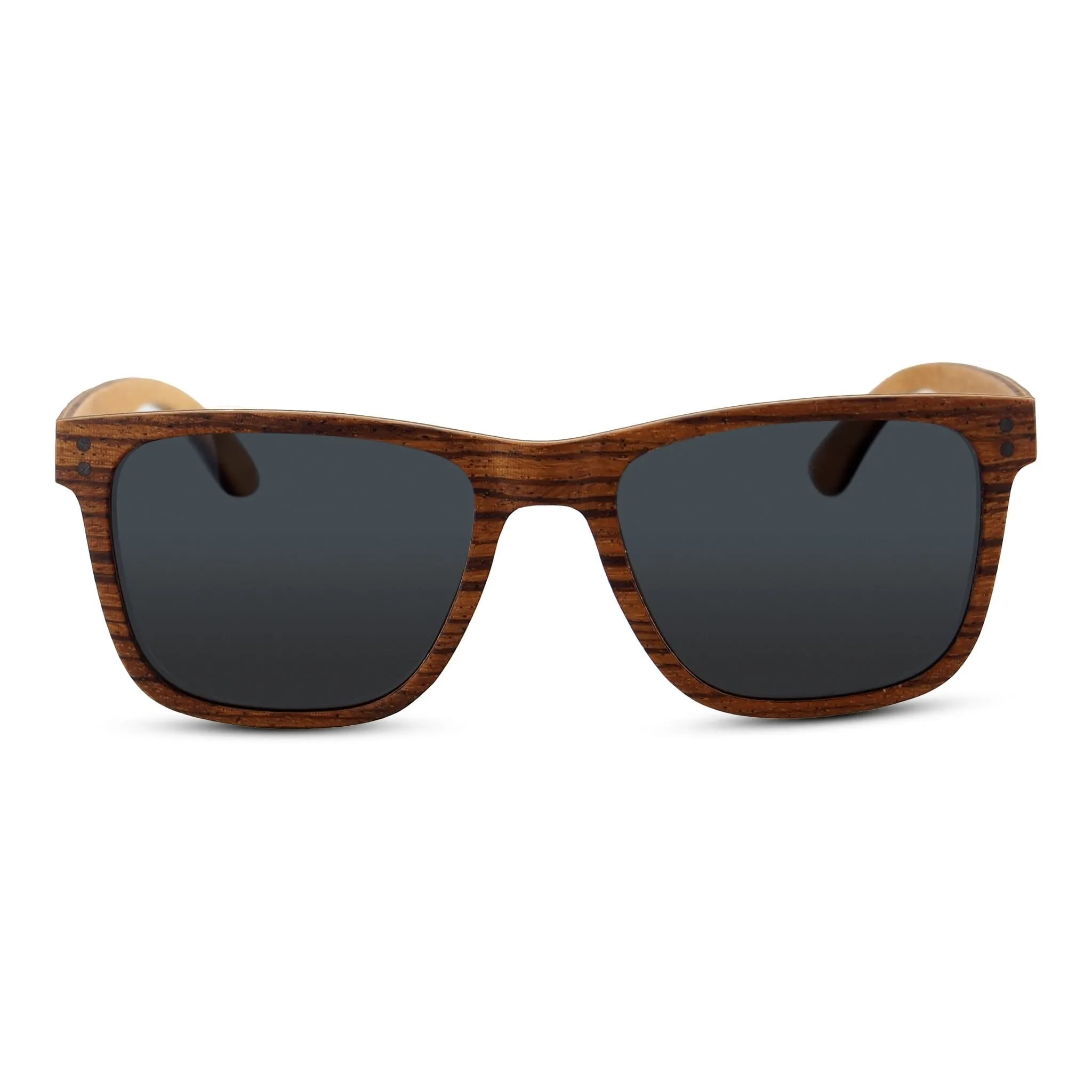 Ziggy | Zebra Wayfinder